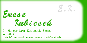 emese kubicsek business card